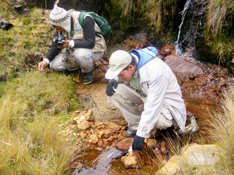 ESTUDIOS AMBIENTAL estudios ambiental: